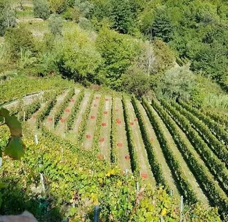 Franca Nature Holidays