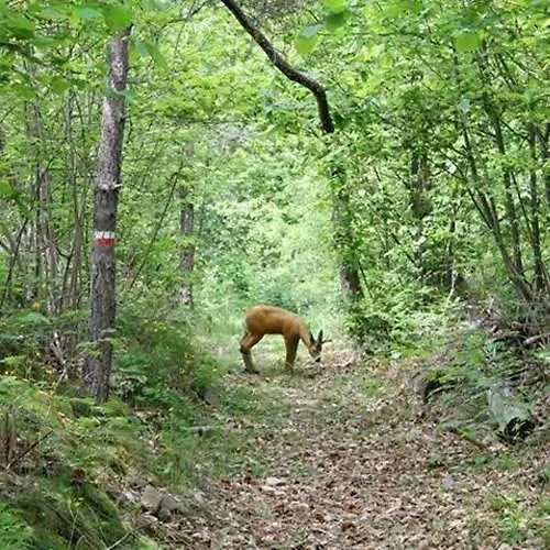 Hébergement de vacances Franca Nature Holidays *