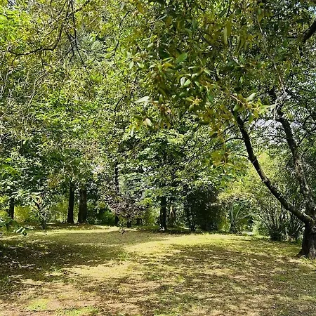 Franca Nature Holidays 度假居 *